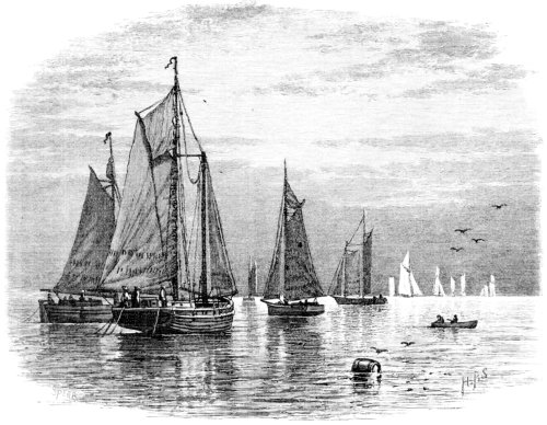 Drawing of a Fleet of Fishing Schooners