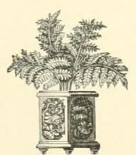 potted tree drawing