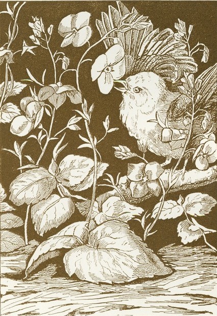 Bird & Flowers Drawing