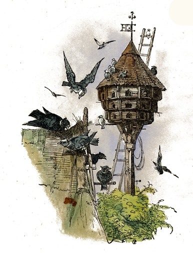 Featured image of post Birdhouse Drawing Images And i was looking for its pdf