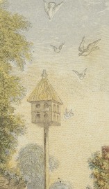 Bird House Drawing