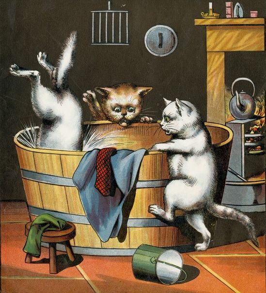 Kitty Bath - ReusableArt.com