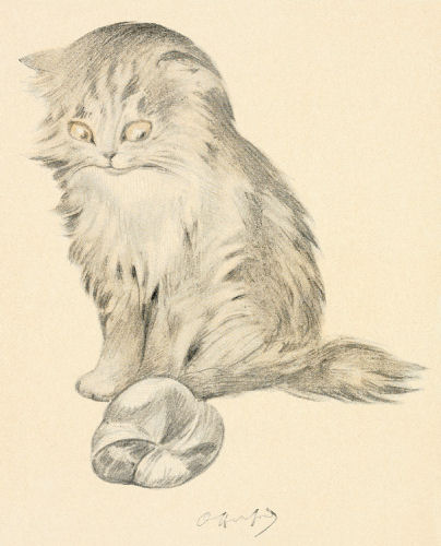 Cat Playing - ReusableArt.com