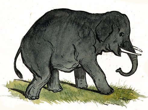 Gray Elephant Drawing