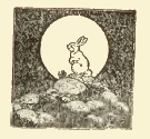Rabbit in Moonlight