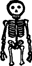 Small Skeleton Drawing