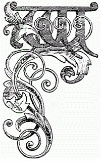 Letter W Drawing