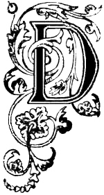 letter d design