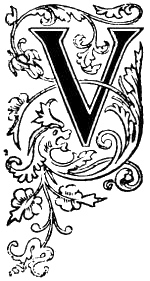 letter v design