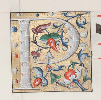 Illuminated Letter P - ReusableArt.com