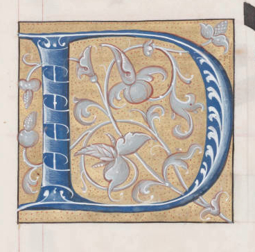 Illuminated Letter D - ReusableArt.com