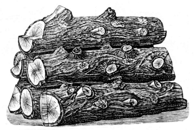 fireplace-logs