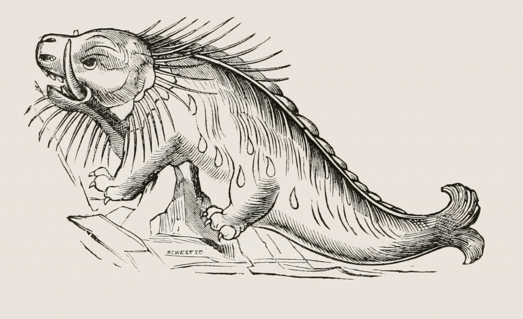 rosmarus drawing - 16th century sea monster version of a walrus