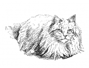 Vintage White Sitting Cat Drawing by Harrison Weir