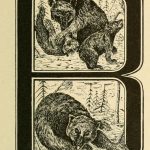B is for Bear, fancy letter B dropcap image