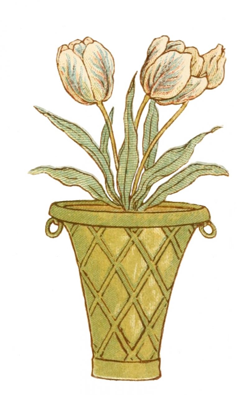 Pot of Tulips by Kate Greenaway - Vintage Floral Drawing