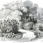 Black and white drawing of a flower lined path