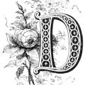 letter d image with rose