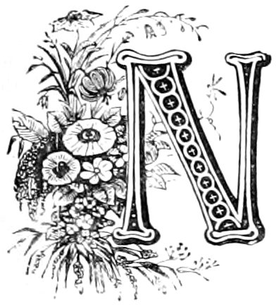 letter N with flowers