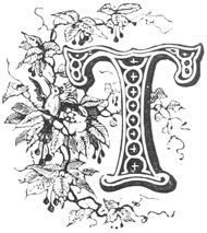 Letter T with Bird from ReusableArt.com