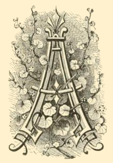Fancy Letter A Image ReusableArt Fancy Letter A Image ReusableArt