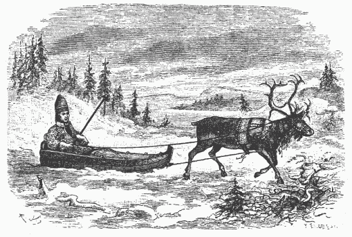 Small Sleigh & Reindeer