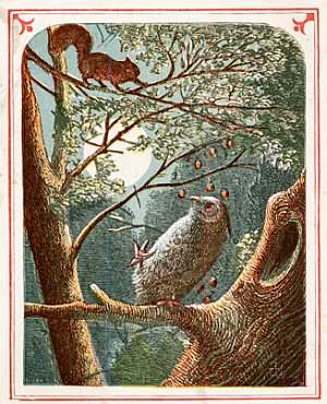 Squirrel & Owl Image