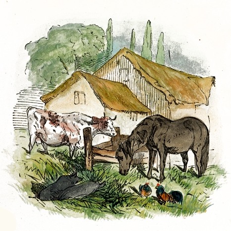 Farmyard Drawing