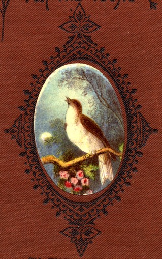 Bird Cover Art
