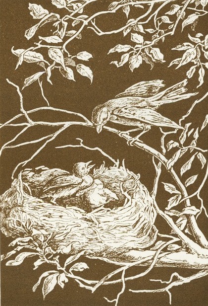 Downloadable Bird Nest Drawing