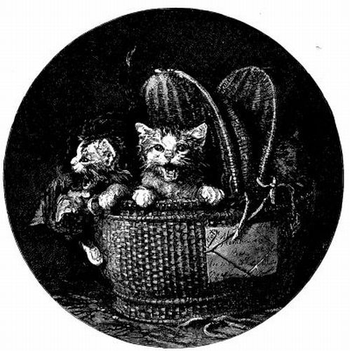 Kittens in a Basket