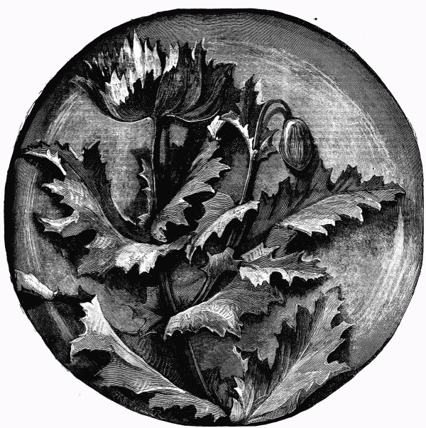 Floral Plate