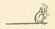 Public Domain Mouse Drawing