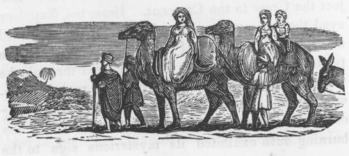 Camel Riders