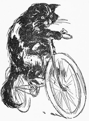 Kitty Riding Bicycle