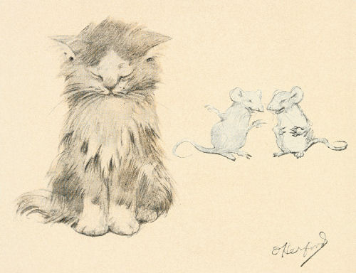 Cat & Mice Drawing