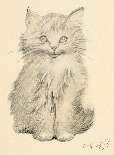 Kitten Portrait
