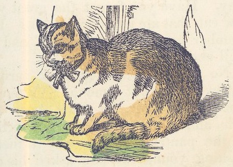 Vintage Cat Illustration