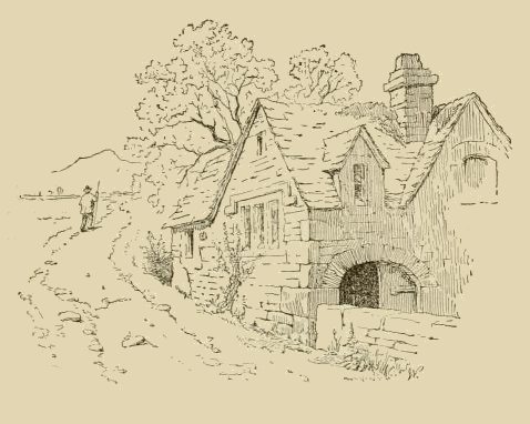 Cottage Drawing