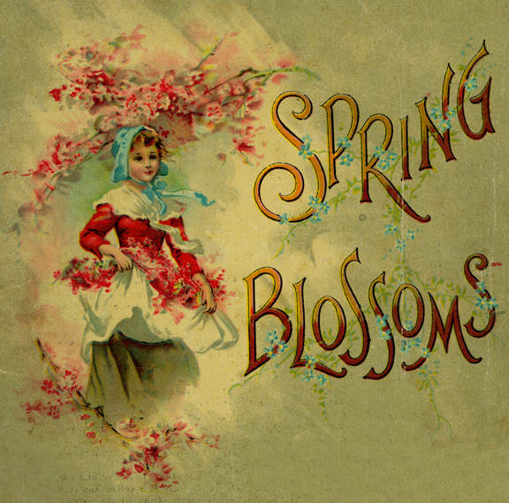 Spring Blossoms Cover Art
