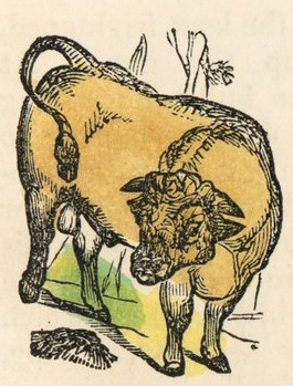 Friendly Bull Drawing