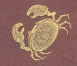 Gold Crab Drawing
