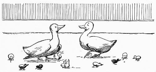 Two Families of Ducks