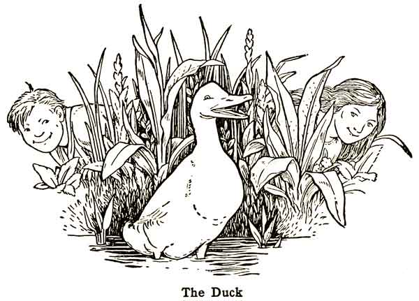 The Happy Duck