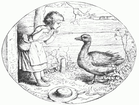 Fierce Goose Drawing