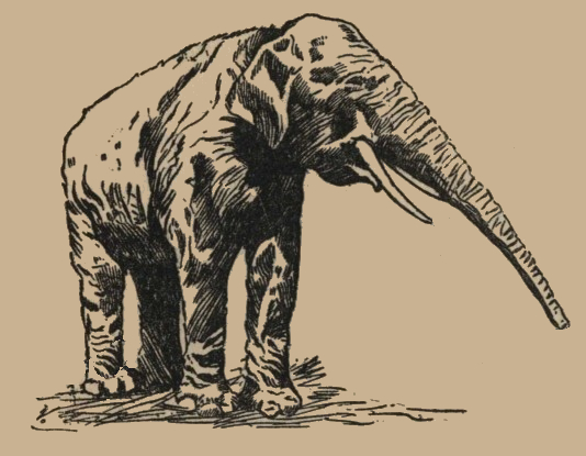 Vintage Elephant