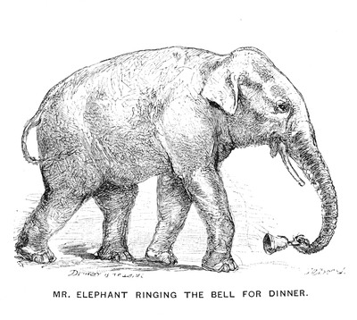 Elephant Drawing