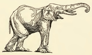 Trumpeting Elephant