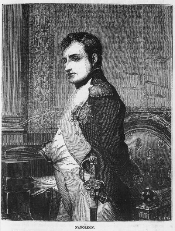 Napoleon Portrait