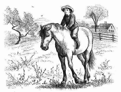 Boy on a Horse